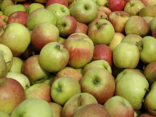 fresh fruits apples jonagold